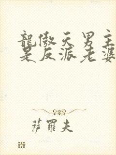 龙傲天男主就该是反派老婆