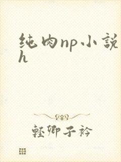 纯肉np小说高h