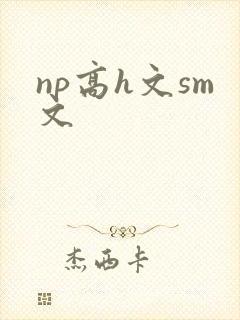np高h文sm文