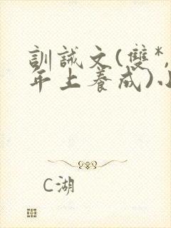 训诫文(双*,年上养成)小说