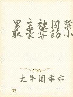 男主被囚禁被强取豪夺的小说