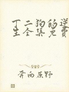 丁二狗的逆袭人生全集免费