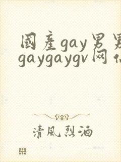 国产gay男男gaygaygv网站封面