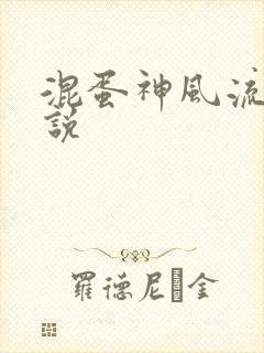 混蛋神风流史小说封面