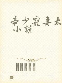 帝少宠妻太凶猛 小说