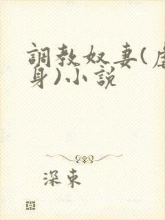 调教奴妻(虐女身)小说