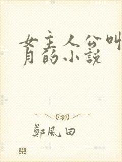 女主人公叫苏明月的小说封面