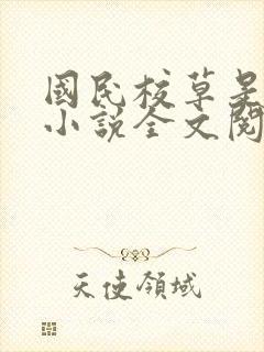 国民校草是女生小说全文阅读封面