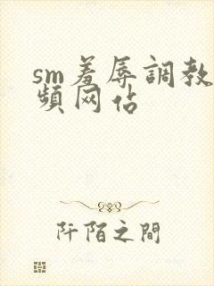sm羞辱调教视频网站