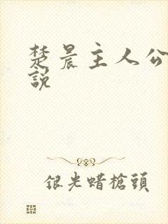 楚晨主人公的小说