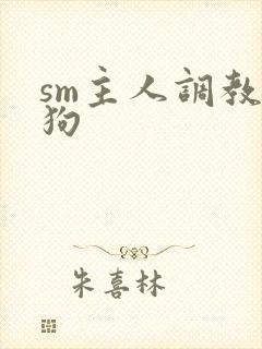 sm主人调教母狗