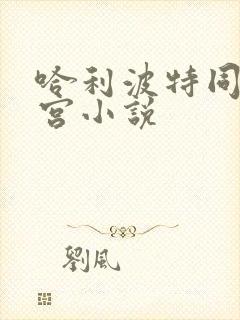 哈利波特同人后宫小说