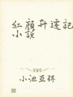 红颜升迁记原著小说