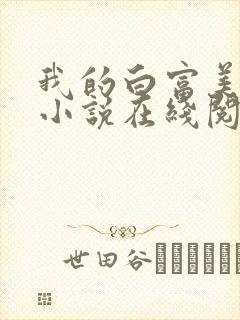 我的白富美老婆小说在线阅读