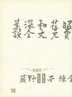 叶深和花昭的小说全文免费阅读