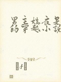 男主姓夜是魔帝的穿越小说