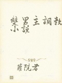 双男主调教高h小说