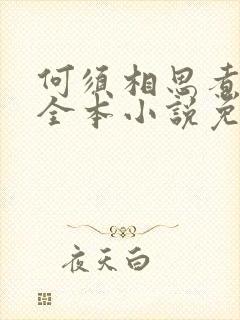 何须相思煮余年全本小说免费阅读