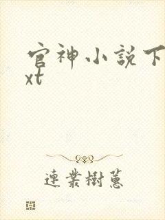 官神小说下载txt封面