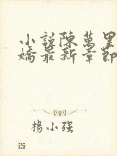 小说陈万里宋娇娇最新章节更新免费