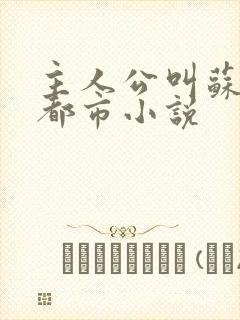 主人公叫苏晨的都市小说