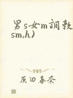 男s女m调教(sm,h)