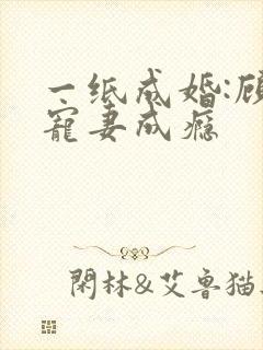 一纸成婚:顾少宠妻成瘾