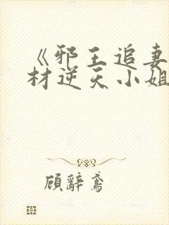 《邪王追妻:废材逆天小姐》txt