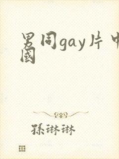 男同gay片中国封面