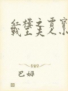 红楼之贾宝玉大战王夫人小说封面