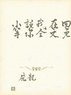 小说我在回忆里等你全文免费阅读