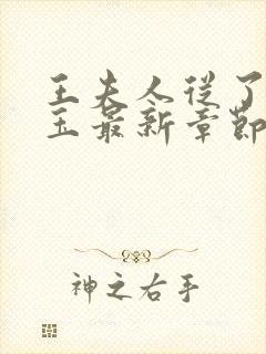 王夫人从了贾宝玉最新章节列表