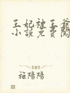 王妃被王爷责罚小说免费阅读