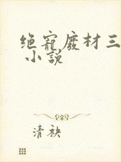 绝宠废材三小姐 小说