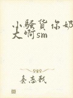 小骚货你奶子好大啊sm封面