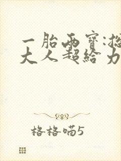 一胎两宝:总裁大人超给力封面