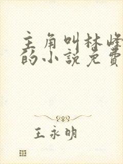 主角叫林峰宁欣的小说免费阅读全文封面