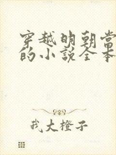 穿越明朝当皇帝的小说全本
