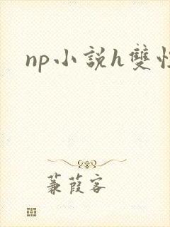 np小说h双性
