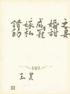 错嫁成婚之总裁的私宠甜妻 小说