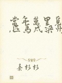 当年万里觅封侯,匹马戍梁州.