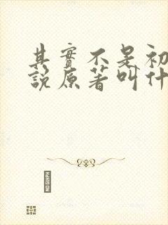 其实不是初恋小说原著叫什么名字
