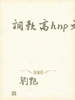 调教高hnp文