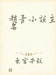 赵青小说主角书名