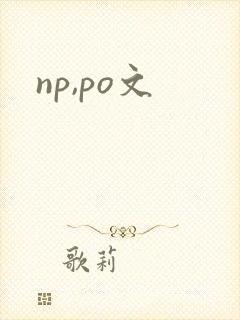 np,po文