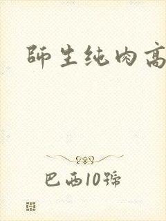 师生纯肉高h文