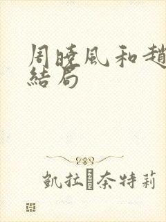 周晓风和赵彤的结局封面