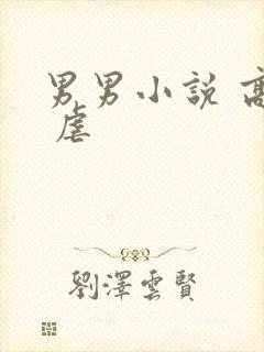 男男小说 高h 虐