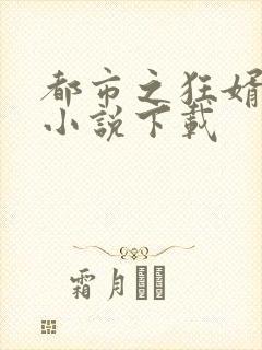都市之狂婿战神小说下载