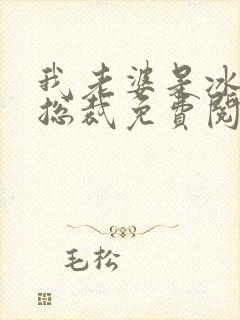 我老婆是冰山女总裁免费阅读最新